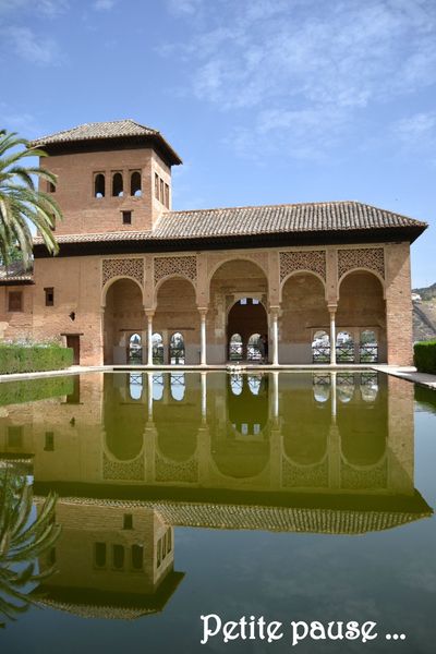 Le palais de l'Alhambra (82)