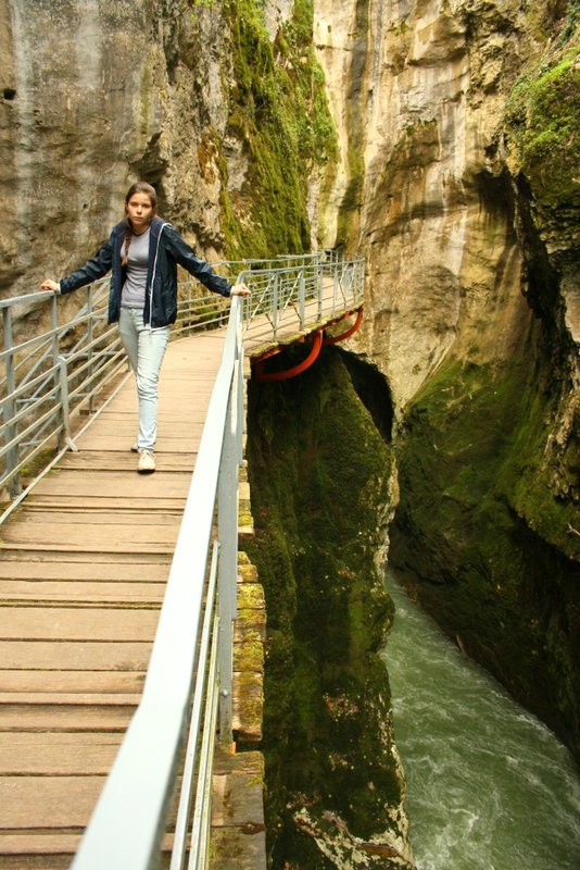 cheval - Gorges du Fier 227