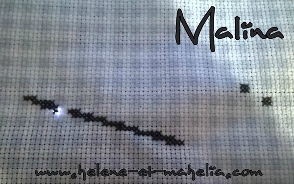 malina_saljanv15_1