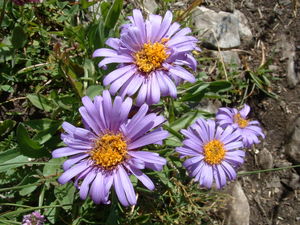 DSCF0272