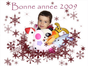 bonne_annee_2009