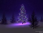 fond_ecran_sapin_de_noel