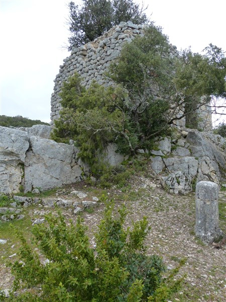 P1000940