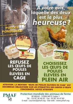 tract_poules2