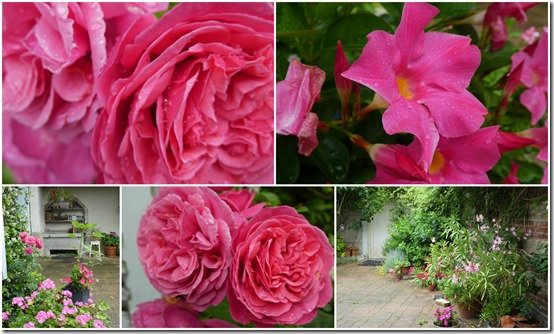 bouquets divers cour et jardin5