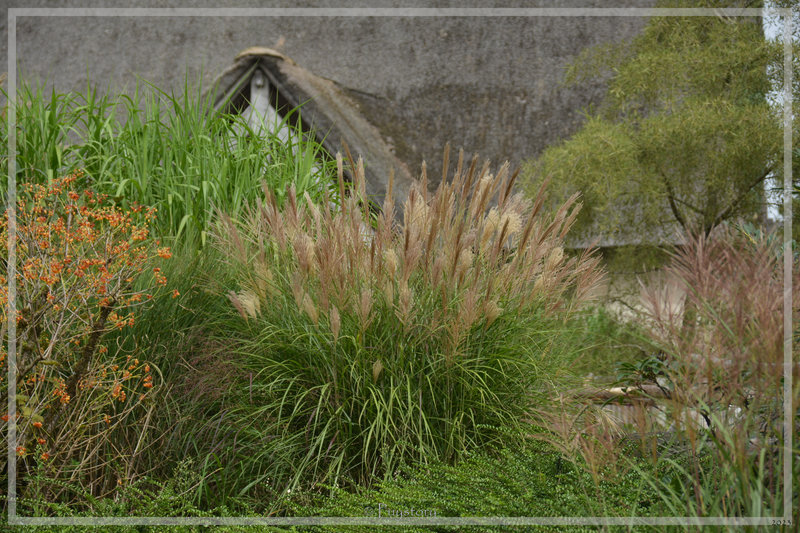 PUY_8154