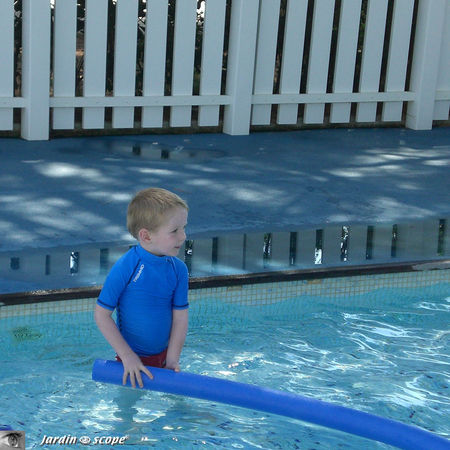 Piscine_reglementation