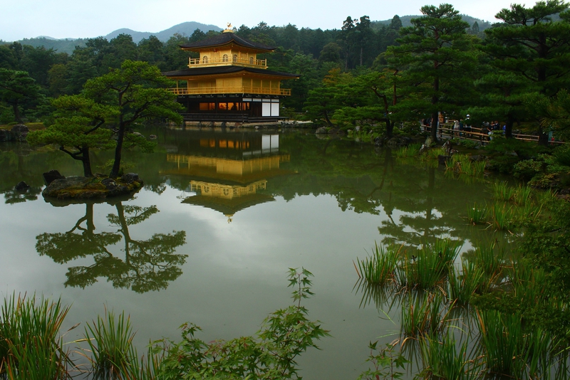 Kinkakuji (Golden pavilion) (17)