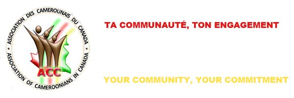 sans-titre