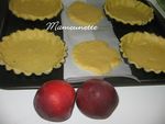 Tartelettes_abricots_et_nectarines_aux_noisettes__mond_es_010