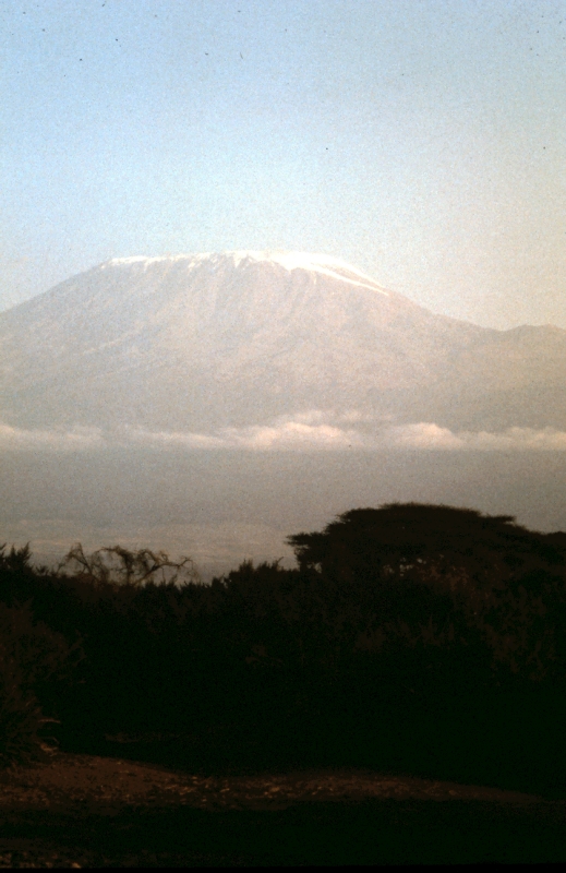 amboseli paysage w kili