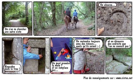 ciste2