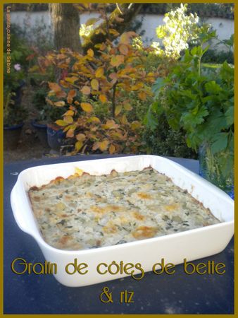 Gratin_de_c_tes_de_bette___riz