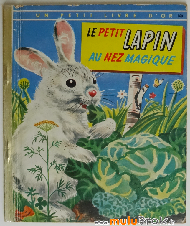 LE-PETIT-LAPIN-AU-NEZ-MAGIQUE-1-muluBrok-Livre-ancien