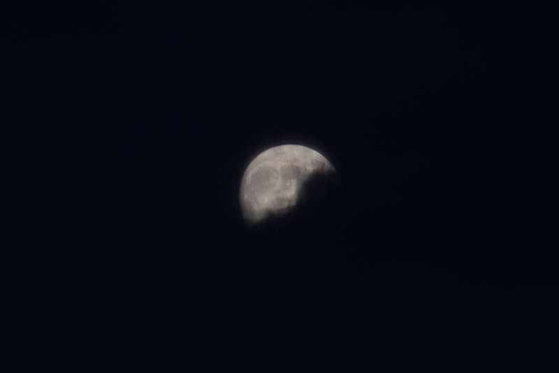 Pleine Lune 202007 - Marion Chambrette
