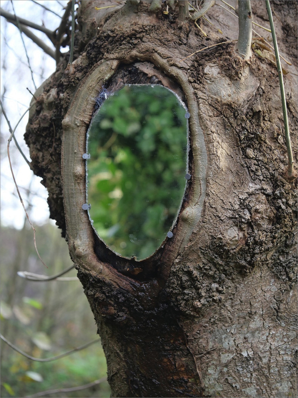 arbre miroir 3 161220