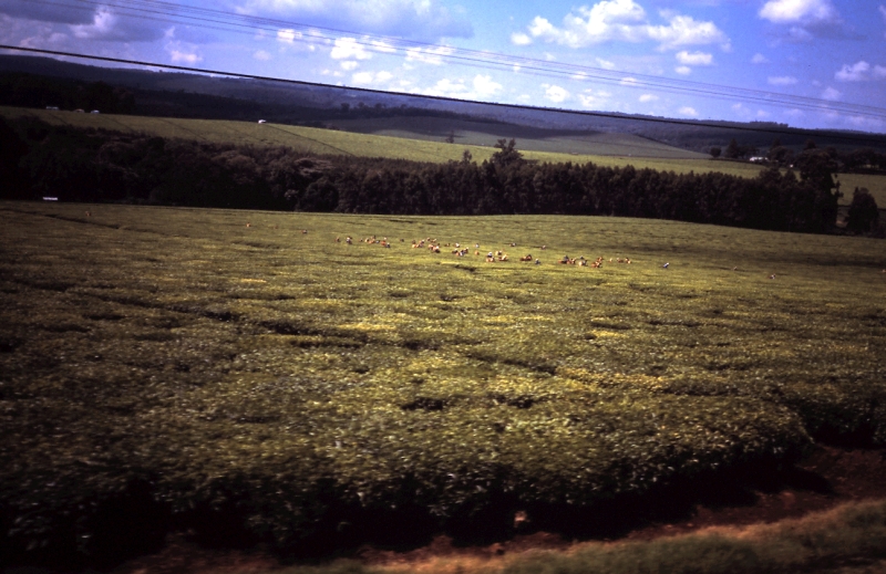 nord kenya r