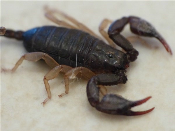 P1120993