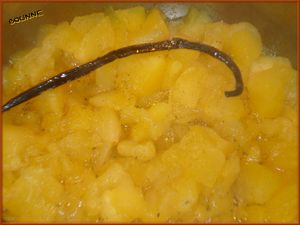 Compote de pommes vanillée (3)