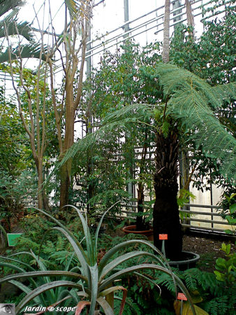 CIMG1436_Palmarium
