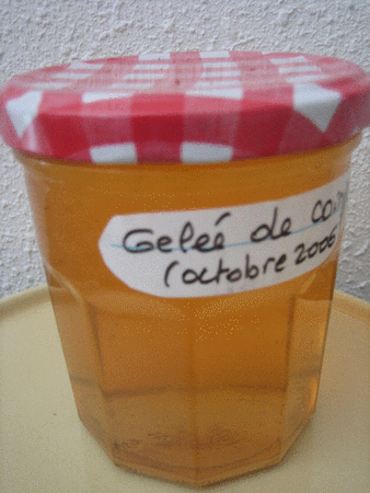 gel_e_coing