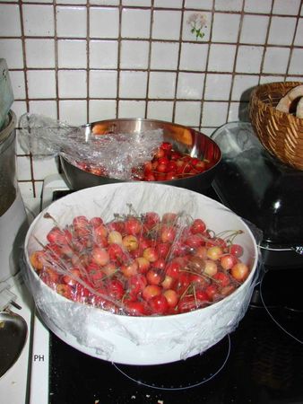 cerises-pour-clafoutis