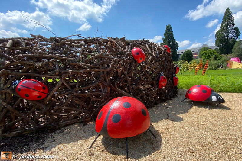 Cocci jardins éphémères Wesserling - Alsace