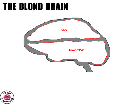 cerveau_blonde