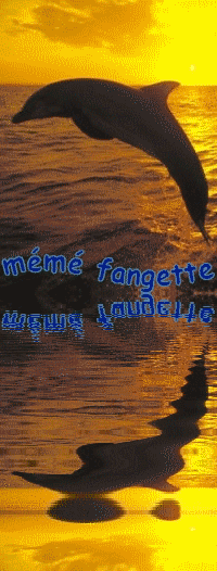 memefangette1