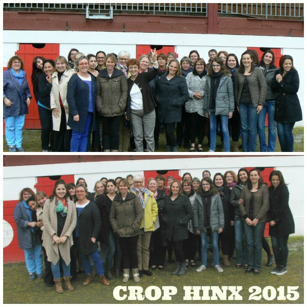 Crop Hinx 2015 Mini You