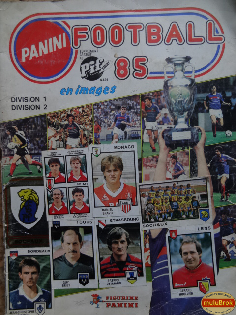 muluBrok 85 FOOTBALL Panini (19)
