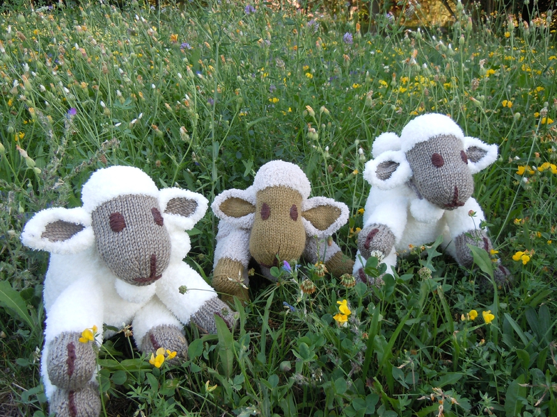 famille mouton