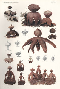 hollos_1_re_en_3_couleurs