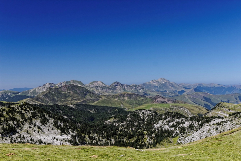 IMG_2014_08_17_5003_DxO_redimensionner