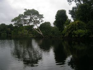 Manaus (82)