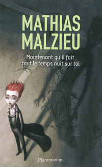 mathias_malzieu