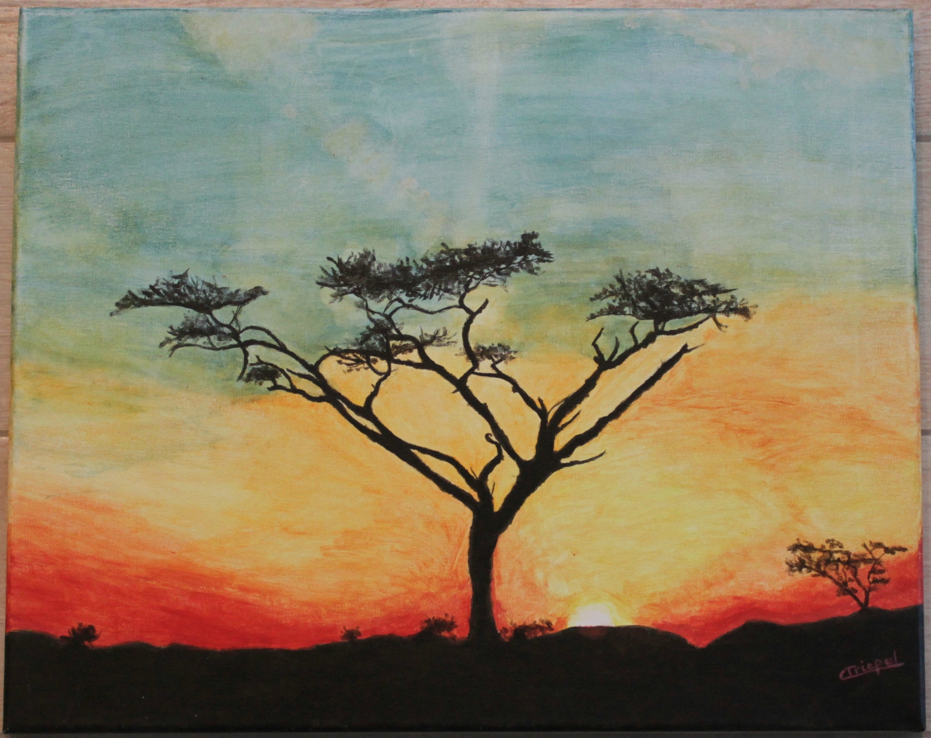 peintures-toile-peinture-acrylique-paysage-a-6162491-mg-4678-4d9d5-ada72_big  - Photo de Afrique - REGARD