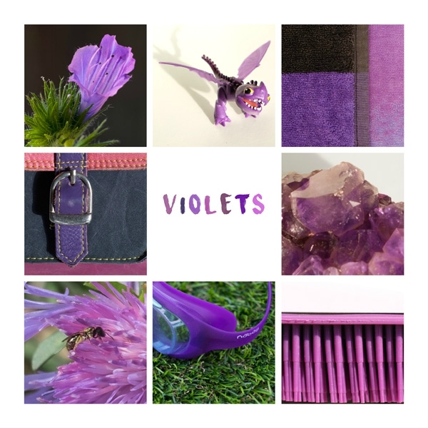 17-08 violet
