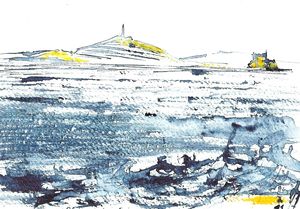 îles du frioul bicolore