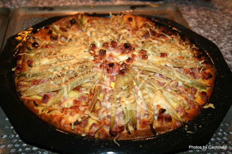 QUICHES AUX ASPERGES (14)