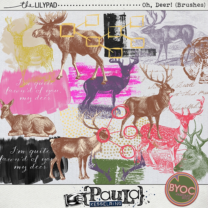 PaulaKesselring_OhDeer_Brushes_Preview