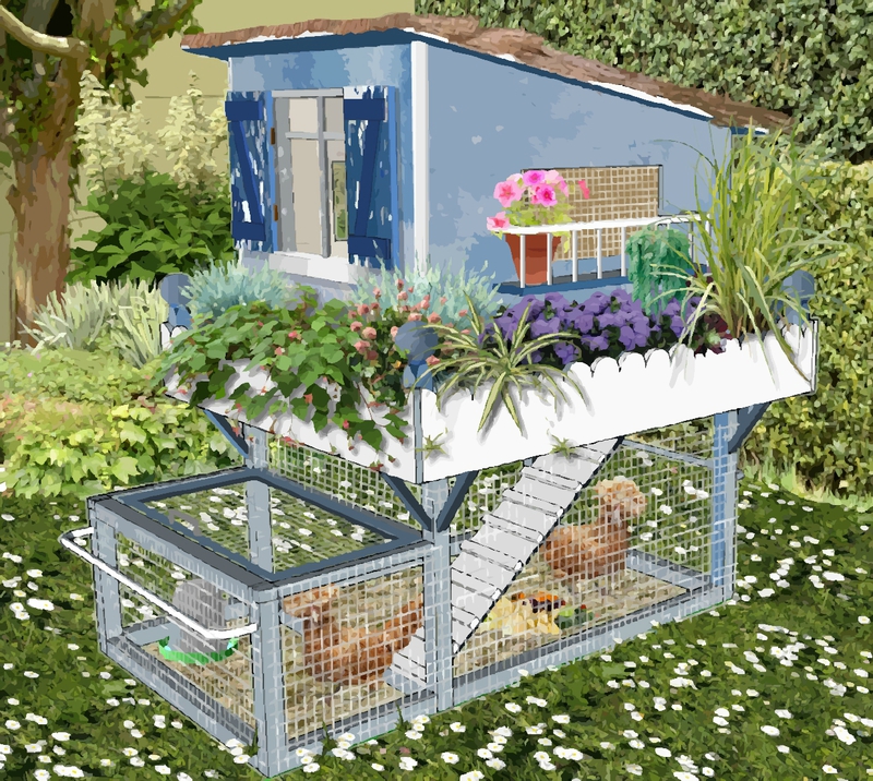 Petit-poulailler-bleu-pour-petit-jardin-en-ville-2