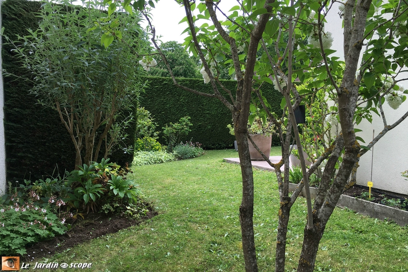 Jardin 2016 - perspective sous le lilas