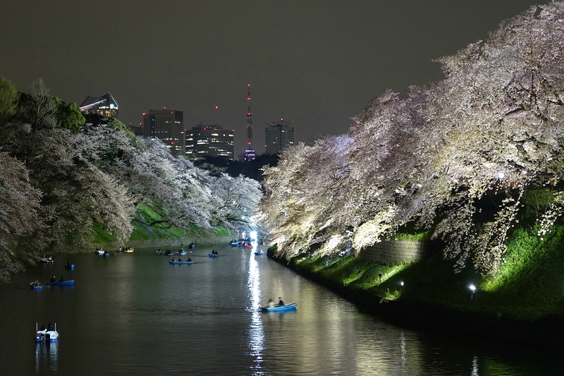 Chidorigafuchi 1