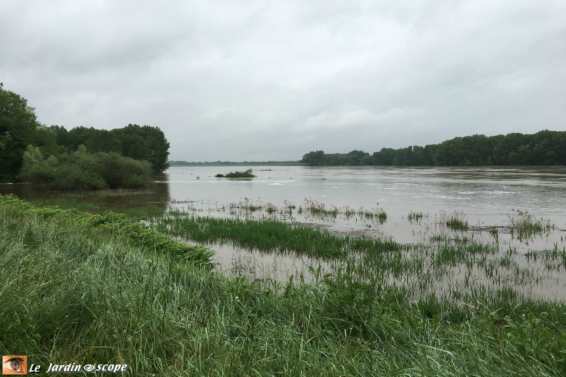 La Loire à Combleux dont la côte est élevée ce 2 juin 2016
