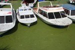 boat_n_green_lake