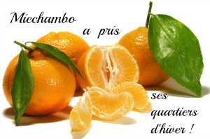 Miechambo mandarines