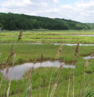 marais
