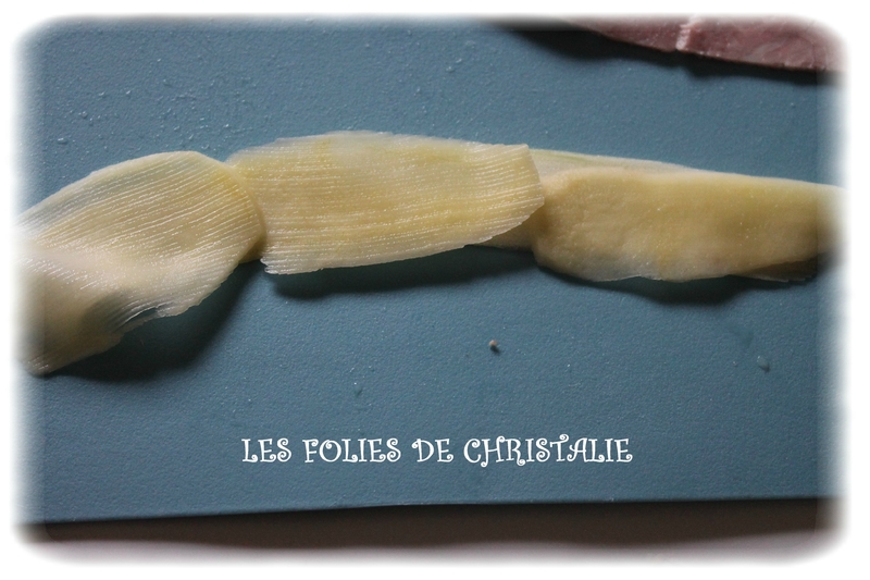 Tarte spirale 6