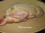 Canette_de_Noirmoutier_006